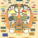 foot-reflexology